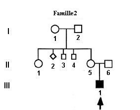 Noguchi-Famille2.jpg