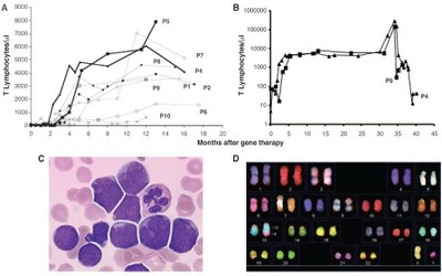 Données sur les patients