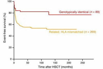Pourcentage de survie