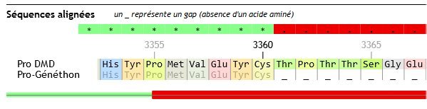 Fin protéine Généthon.jpg