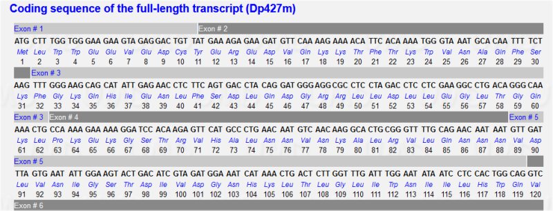 Extrait composition exons