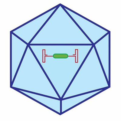 thVue simplifiée aav