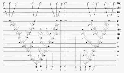 Darwins_tree_of_life_1859.gif