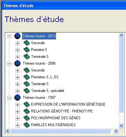 Arborescence des thèmes.jpg