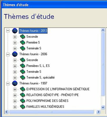 Arborescence des thèmes.jpg