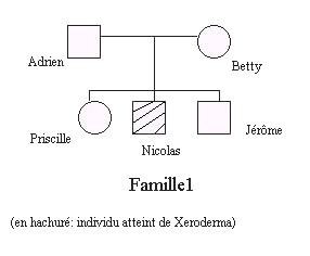 Famille1-Xeroderma.bmp