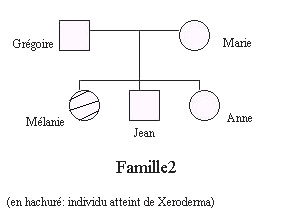 Famille2-Xeroderma.bmp