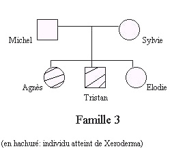 Famille3-Xeroderma.bmp