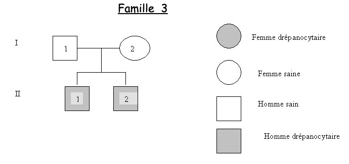 Arbre famille 3   drépanocytose