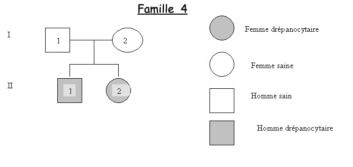 Arbre famille 4   drépanocytose