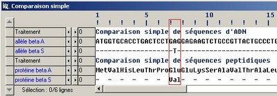 Comparaison BétaA BétaS