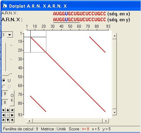 Segment répété.jpg
