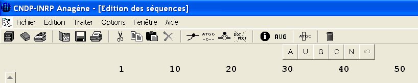 Icône nucléotides ARN.jpg