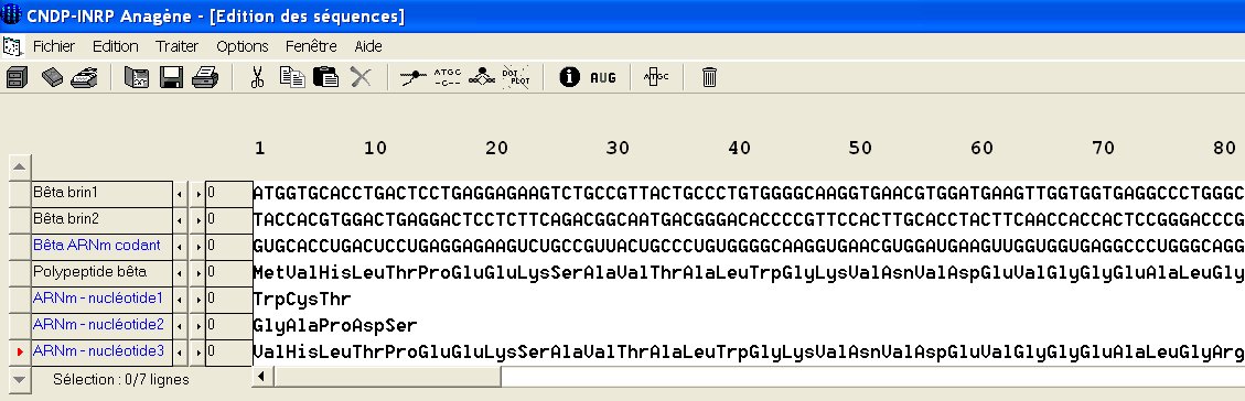 Suppression de nucléotides.jpg