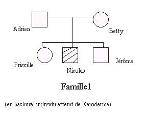 XeroarbreFamille1.JPG