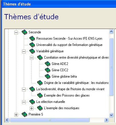 Thèmes seconde.jpg