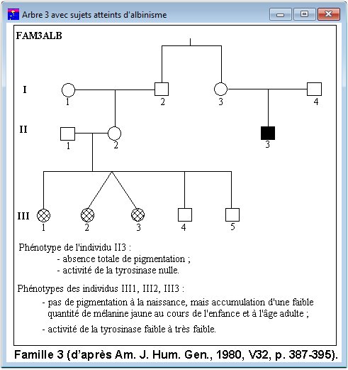 Albinisme Arbre3 avec sujets atteints d'albinisme
