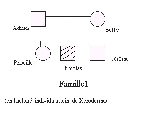 Xeroderma Famille1
