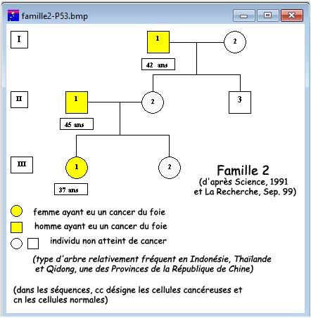 2006 Famille2 P53