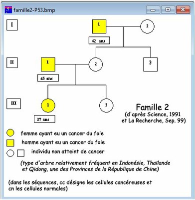 2006 Famille2 P53