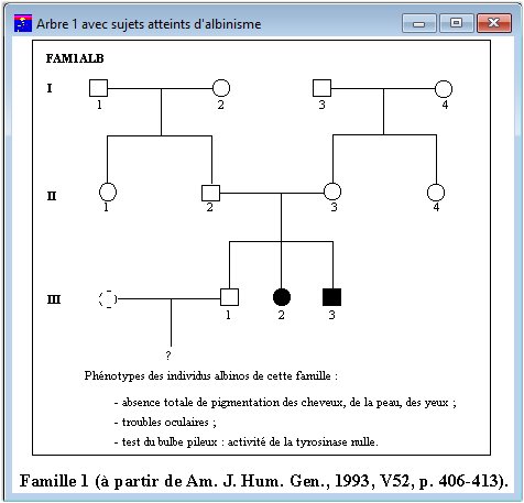 Albinisme Arbre1 avec sujets atteints d'albinisme