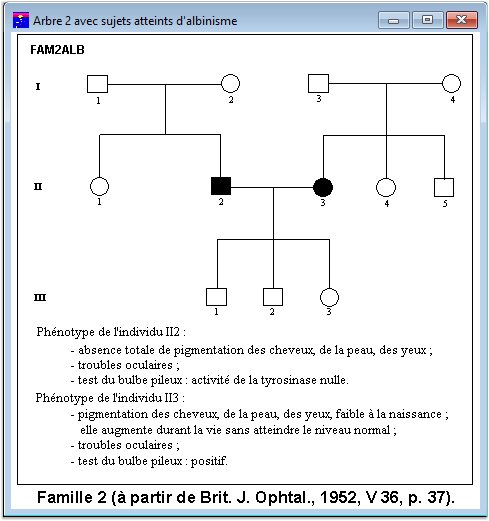Albinisme Arbre2 avec sujets atteints d'albinisme