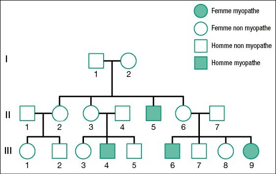 Arbre Famille5   Myopathie Duchenne   Becker