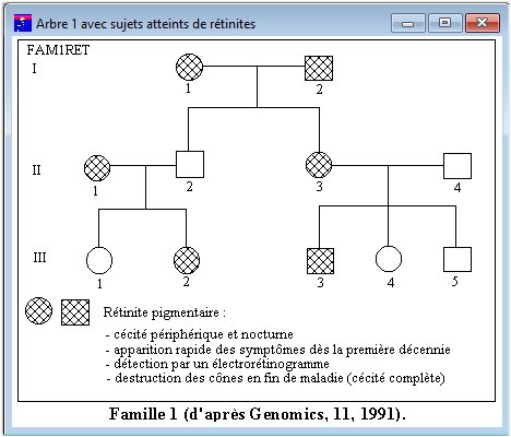 Rétinites Arbre1 avec sujets atteints de rétinites