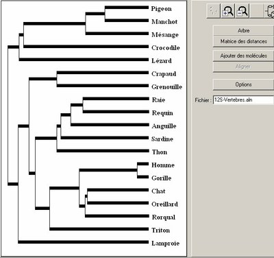 arbre-vertebres-12s.jpg