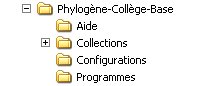 Dossier-Phylogène.jpg
