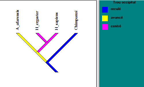 arbre_intermediaire3_parente1.jpg