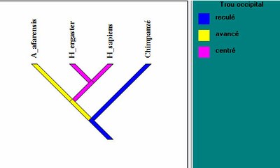 arbre_intermediaire3_parente1.jpg