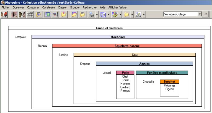 Classer-Vertébrés.jpg