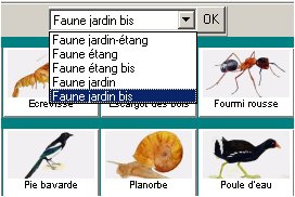 Collections Jardin-étang.jpg