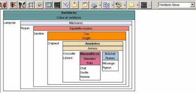 Dénomination de groupes de Vertébrés.jpg