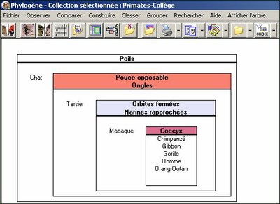 Emboîtement-ordonné.jpg