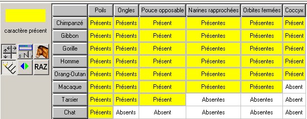 Etablir parentés - matrice au départ.jpg