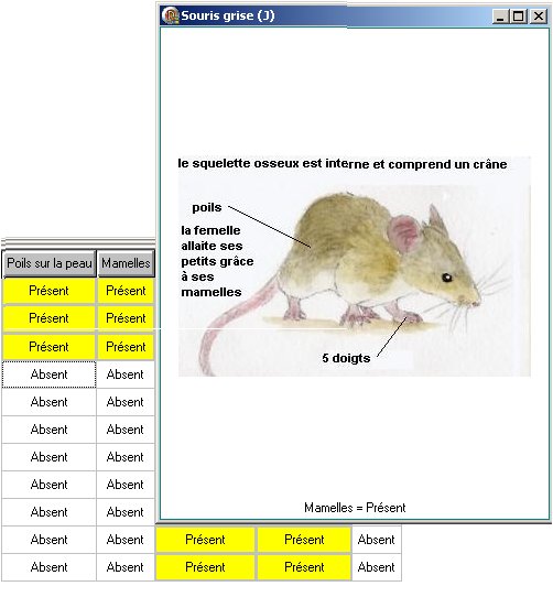 Image clic droit état caractère.jpg