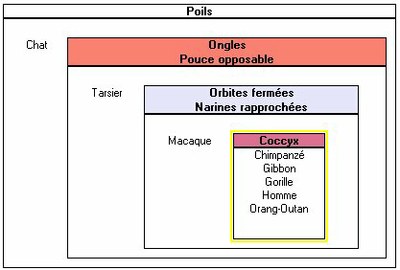 boite-bordure-jaune.jpg