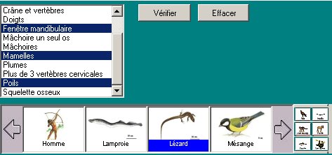 Construire-Taxons-Caractères.jpg