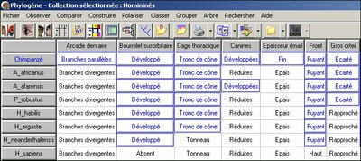 Polariser-Comme-Outgroup.jpg