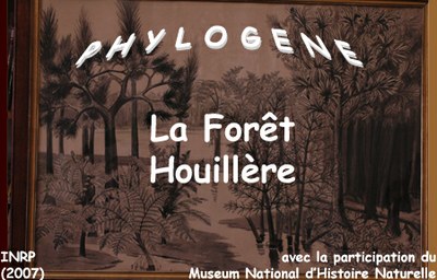 Flore houillere et actuelle.jpg