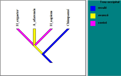 arbre_intermediaire2_parente1.jpg