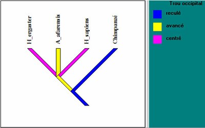 arbre_intermediaire2_parente1.jpg