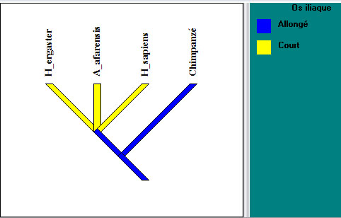 arbre_intermediaire_parente1.jpg