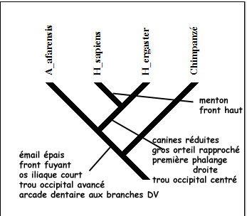 arbre_parente1.jpg