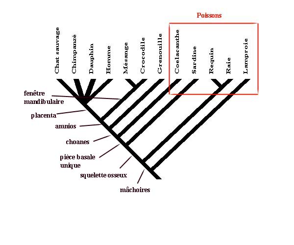poisson.jpg