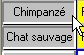 Chat_Chimp_Tab.jpg