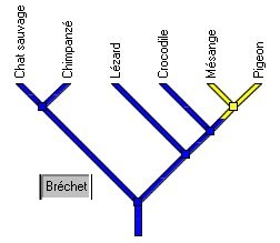 arbre_complet_brechet.jpg