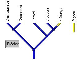 derniere_etape_brechet.jpg